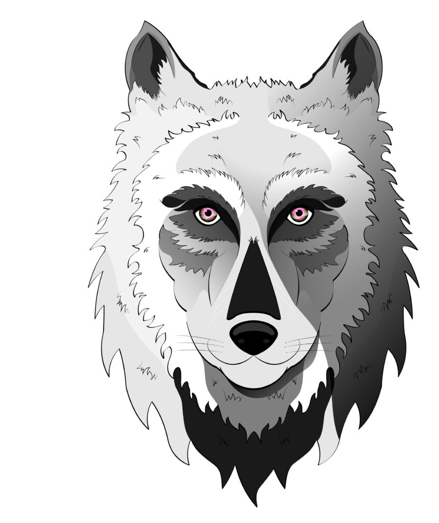 LOUP_A3